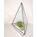 Square Glass Plant Terrarium  Style Planter Box